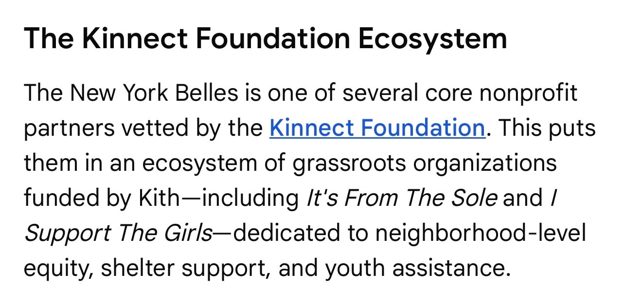 The Kinnect Foundation Ecosystem — NY Belles as a core nonprofit partner alongside It's From The Sole and I Support The Girls